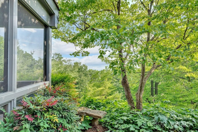 24 Westhaven Dr, Asheville, NC 28804 - photo 38