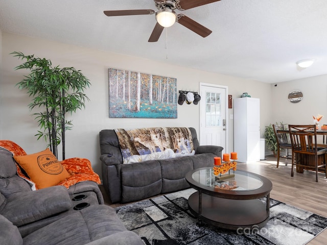 327 Downing St, Troutman, NC 28166 - living room featuring wood finished floors and a ceiling fan