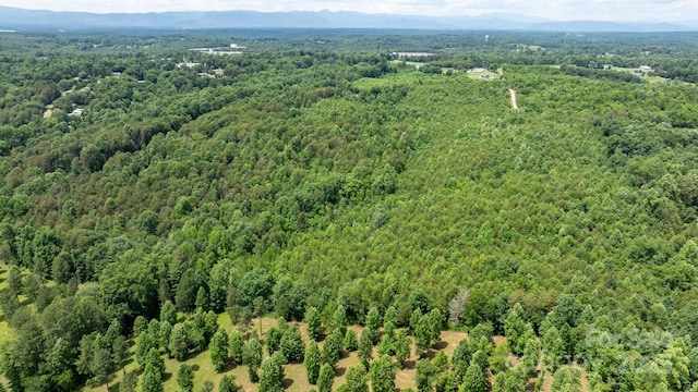 1981 Jamestown Rd, Morganton, NC 28655