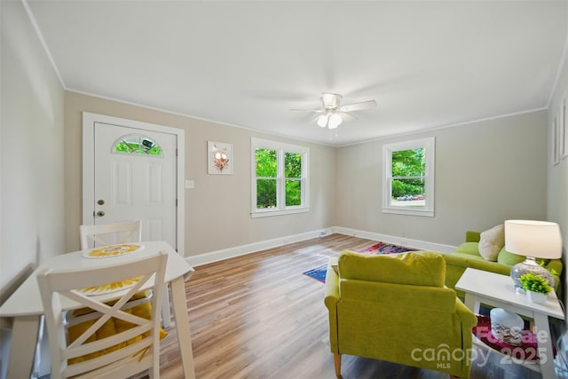407 Cummings St, Rock Hill, SC 29730 - living area with a ceiling fan, light wood-type flooring, and ornamental molding