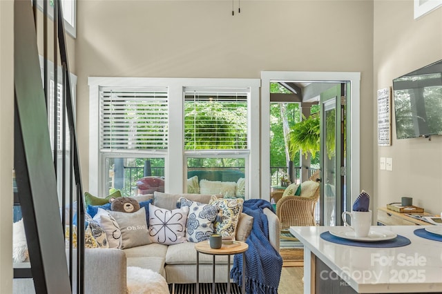 3095 Silversteen Rd, Lake Toxaway, NC 28747 - view of living area