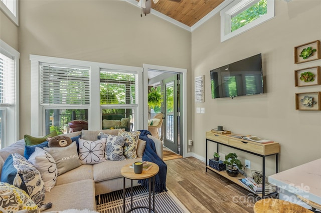 3095 Silversteen Rd, Lake Toxaway, NC 28747 - living room with ornamental molding, high vaulted ceiling, wood finished floors, plenty of natural light, and ceiling fan