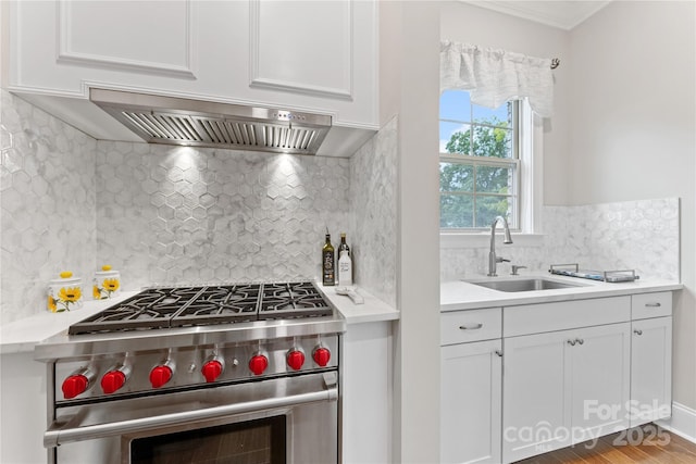920 Terramore Dr, Waxhaw, NC 28173 - kitchen with high end stainless steel range oven, custom exhaust hood, backsplash, white cabinetry, and light countertops