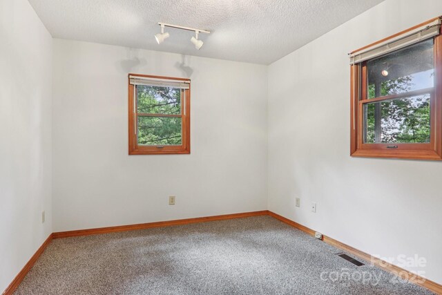58 Oak Ter, Arden, NC 28704 - empty room with carpet flooring, rail lighting, and a textured ceiling