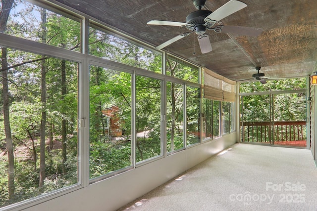 58 Oak Ter, Arden, NC 28704 - unfurnished sunroom with a ceiling fan and plenty of natural light