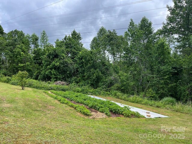 1649 Carters Ridge Rd, Spruce Pine, NC 28777 - photo 10