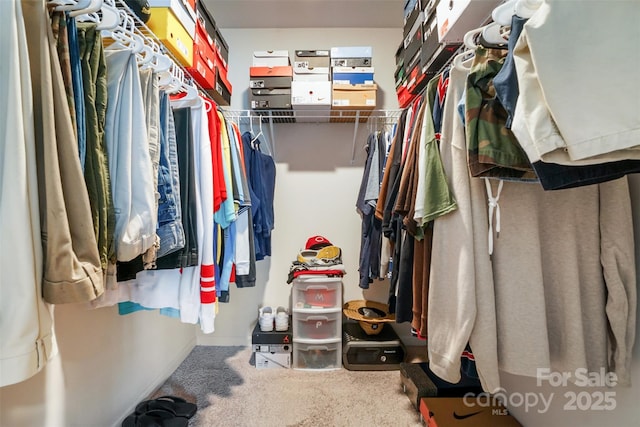 1343 Kent Downs Ave SW, Concord, NC 28027 - walk in closet featuring carpet floors
