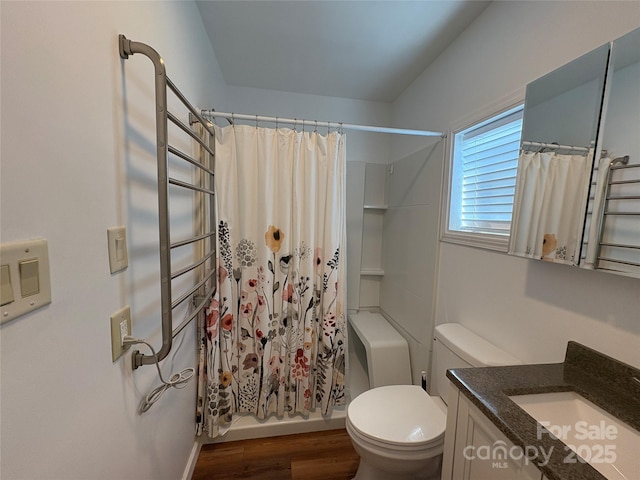 333 Mount View Ln Unit 266B, New London, NC 28127 - full bathroom featuring vanity, wood finished floors, and curtained shower