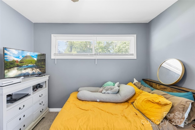 411 Belvedere Cir, Kings Mountain, NC 28086 - photo 15