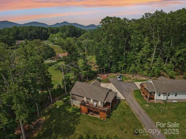 135 Ivey Farms Rd, Candler, NC 28715 - photo 5