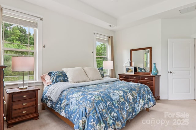 34 Brookstone Pl, Candler, NC 28715 - photo 21