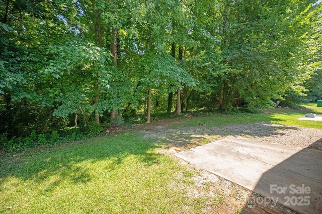 5717 Fairchase Ave, Charlotte, NC 28269 - photo 28