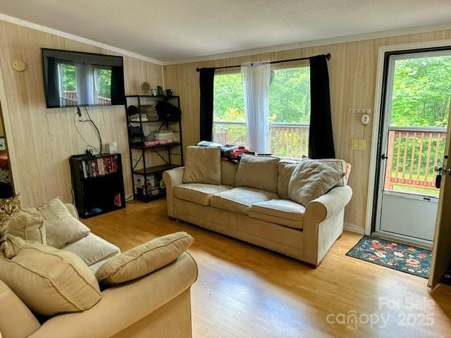 143 Hubert Mccall Dr, Balsam Grove, NC 28708 - photo 6