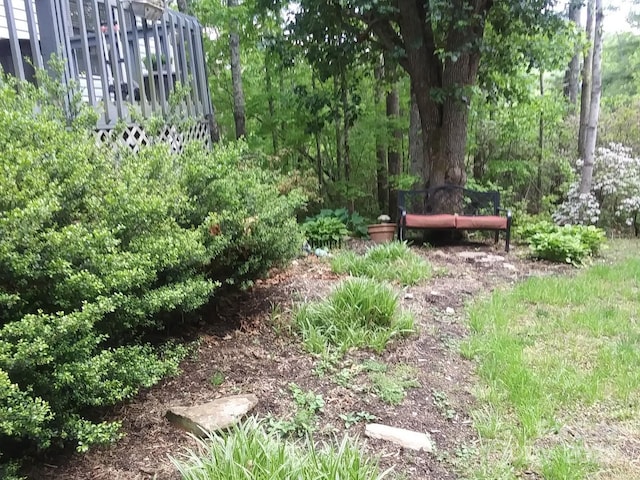 41 Laurel Brook Dr, Fairview, NC 28730 - view of yard