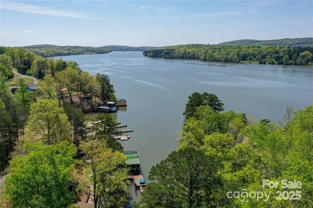 177 Mountain View Ln, Troy, NC 27371 - water view with a heavily wooded area and a dock