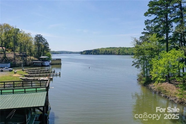 177 Mountain View Ln, Troy, NC 27371 - dock with a water view