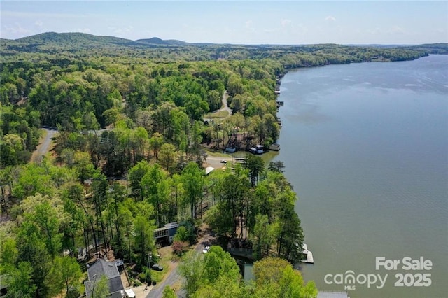 177 Mountain View Ln, Troy, NC 27371 - aerial view of a heavily wooded area and a large body of water