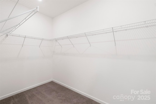 117 Carmine Ct, Troutman, NC 28166 - spacious closet featuring carpet