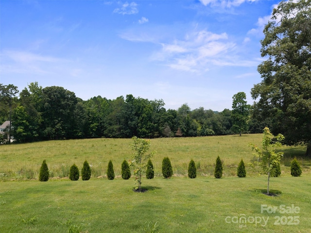 117 Carmine Ct, Troutman, NC 28166 - view of undeveloped land with rural landscape
