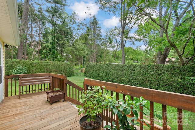 141 Elkwood Ave, Asheville, NC 28804 - wooden terrace with a fenced backyard