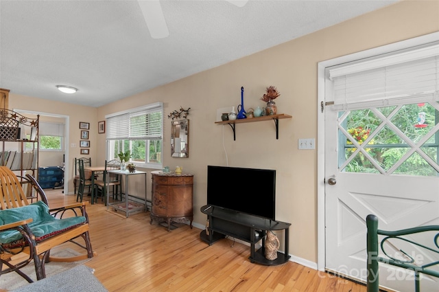 141 Elkwood Ave, Asheville, NC 28804 - living room with light wood finished floors and ceiling fan
