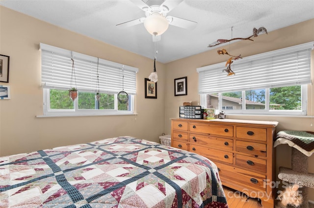 141 Elkwood Ave, Asheville, NC 28804 - bedroom featuring multiple windows and a ceiling fan