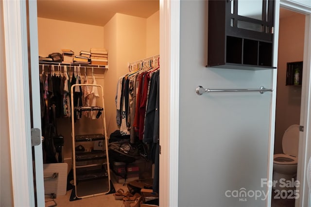 4003 Northerly Island Ct, Gastonia, NC 28056 - view of spacious closet