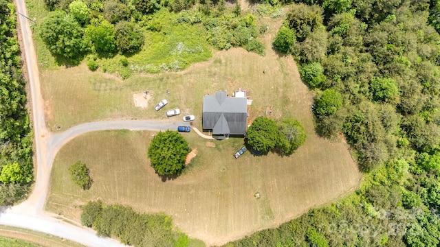 4242 Lake Ridge Ct, Ramseur, NC 27316 - bird's eye view