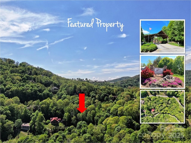 TBD Goldenleaf Rd Unit 74, Mars Hill, NC 28754