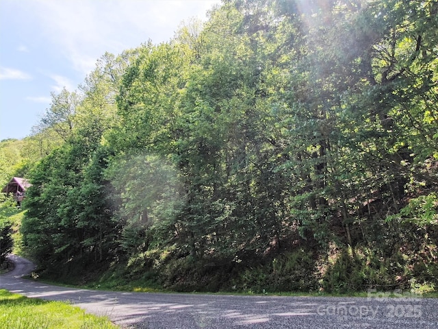 TBD Goldenleaf Rd Unit 74, Mars Hill, NC 28754