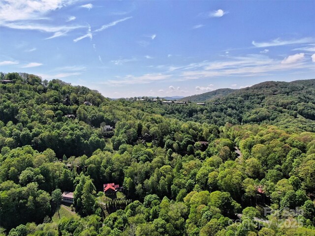 TBD Goldenleaf Rd Unit 74, Mars Hill, NC 28754
