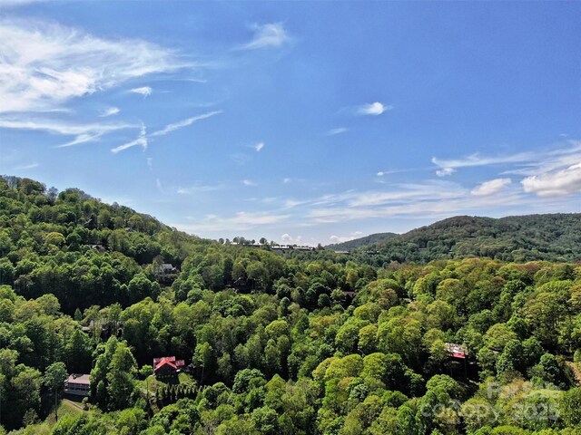 TBD Goldenleaf Rd Unit 74, Mars Hill, NC 28754