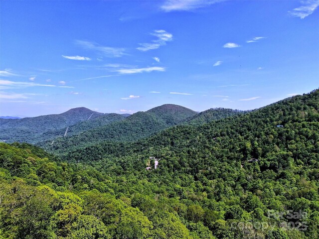 TBD Goldenleaf Rd Unit 74, Mars Hill, NC 28754