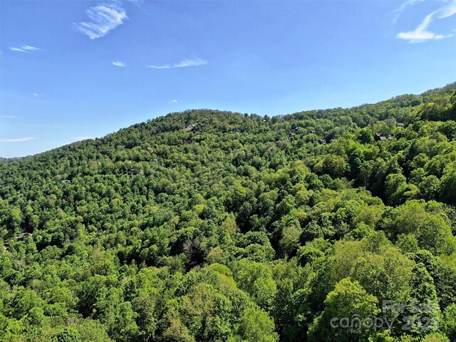 TBD Goldenleaf Rd Unit 74, Mars Hill, NC 28754