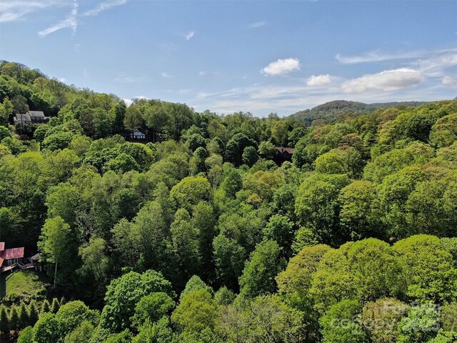 TBD Goldenleaf Rd Unit 74, Mars Hill, NC 28754