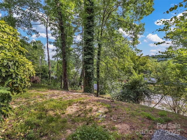 114 Elden St, Hendersonville, NC 28739 - photo 28