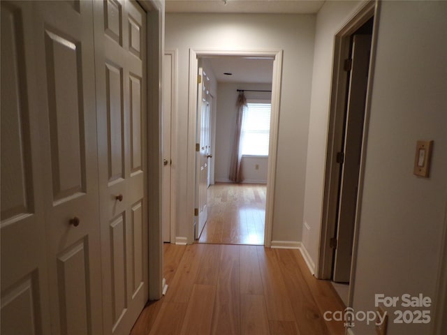 833 21st Ave NE Unit 833, Hickory, NC 28601 - corridor featuring light wood-style floors and baseboards