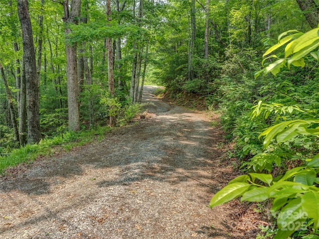 0000 Israel Rd, Brevard, NC 28712 - photo 2