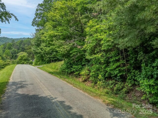 0000 Israel Rd, Brevard, NC 28712 - photo 3