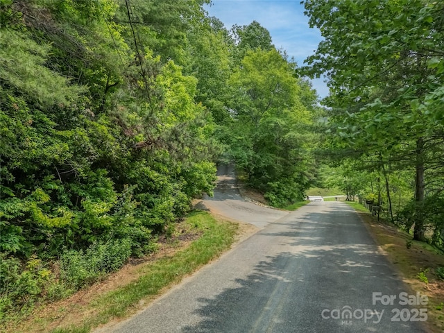 0000 Israel Rd, Brevard, NC 28712 - photo 4