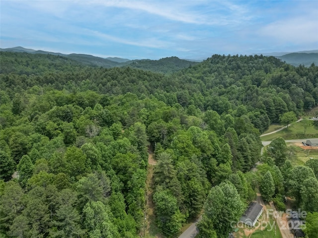 0000 Israel Rd, Brevard, NC 28712 - photo 6