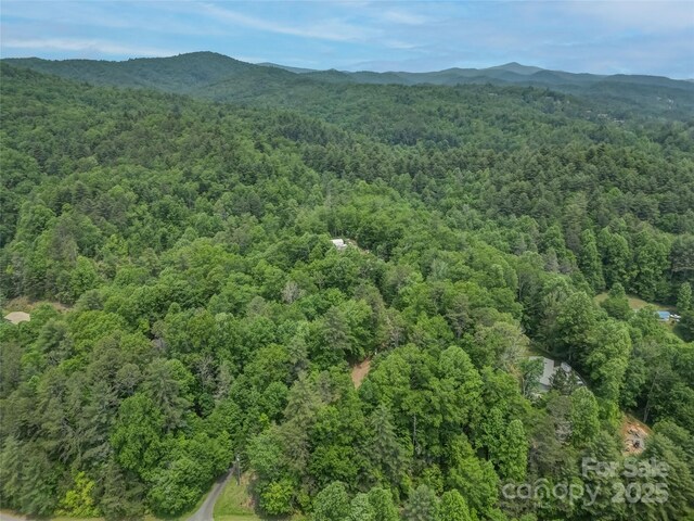 0000 Israel Rd, Brevard, NC 28712 - photo 7
