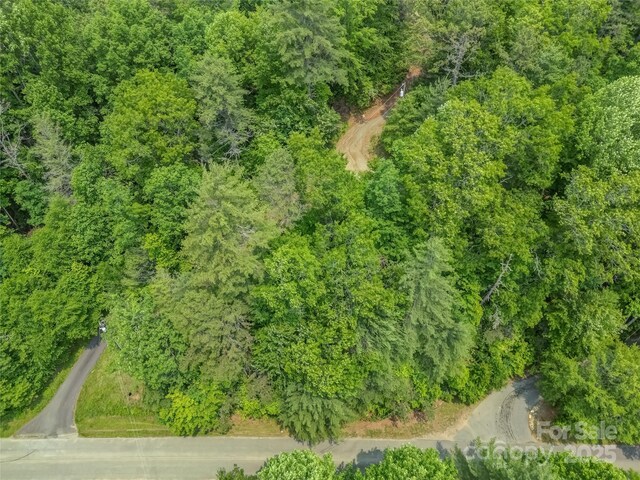 0000 Israel Rd, Brevard, NC 28712 - photo 8