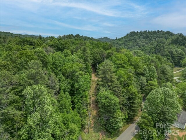 0000 Israel Rd, Brevard, NC 28712 - photo 10