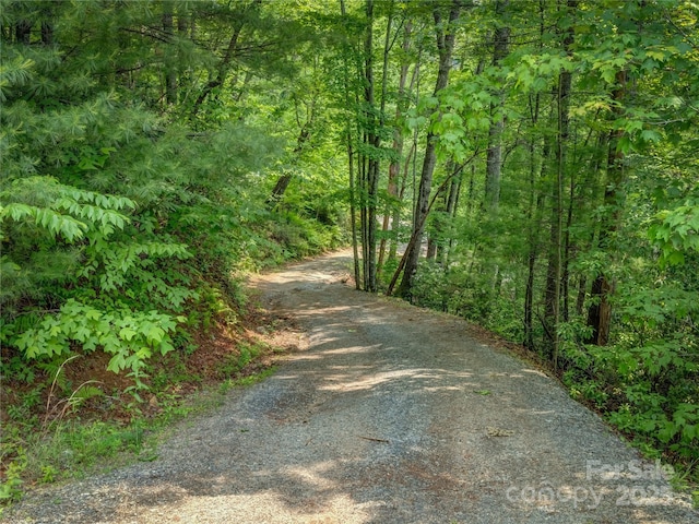 0000 Israel Rd, Brevard, NC 28712 - photo 11