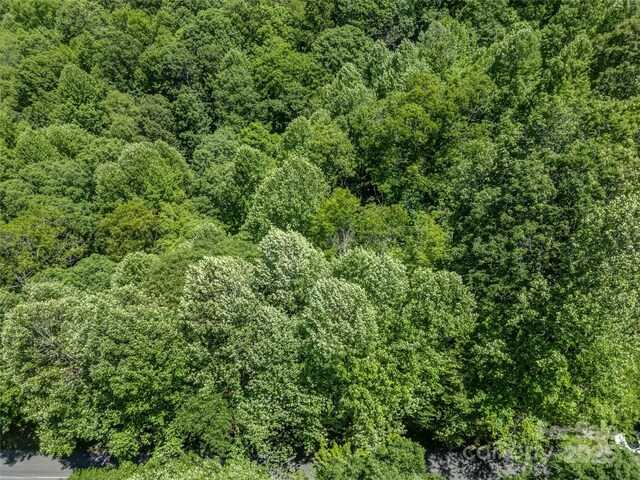 0000 Israel Rd, Brevard, NC 28712 - photo 12