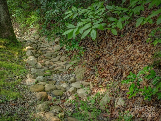 0000 Israel Rd, Brevard, NC 28712 - photo 17