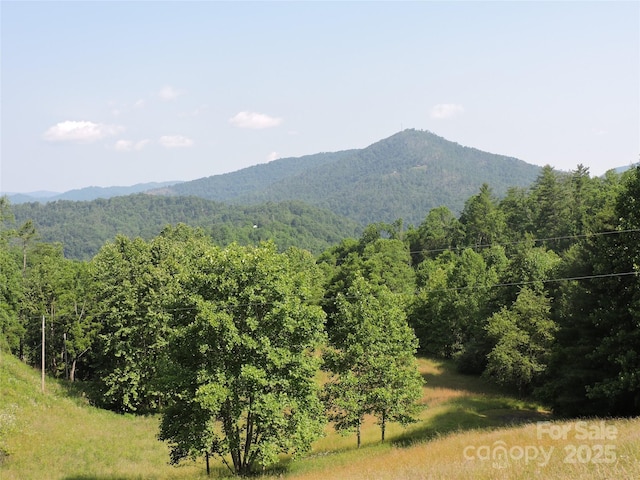 674 Johnsons River Bend Ln, Bakersville, NC 28705 - photo 6