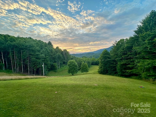 674 Johnsons River Bend Ln, Bakersville, NC 28705 - photo 7