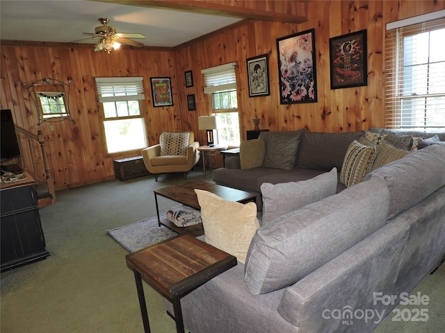 674 Johnsons River Bend Ln, Bakersville, NC 28705 - photo 14